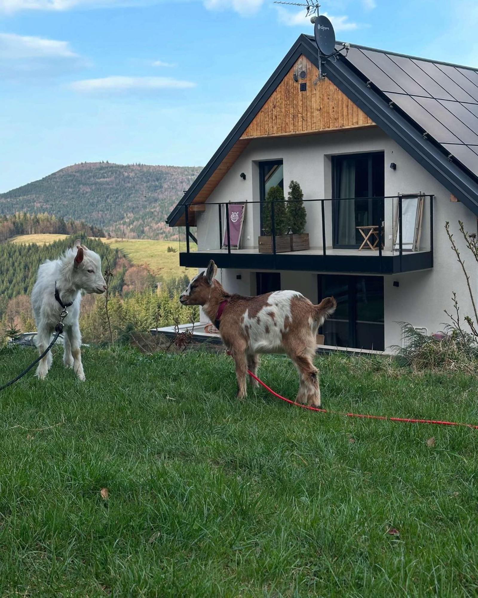Gorczanskie Zacisze Lubomierz  Luaran gambar